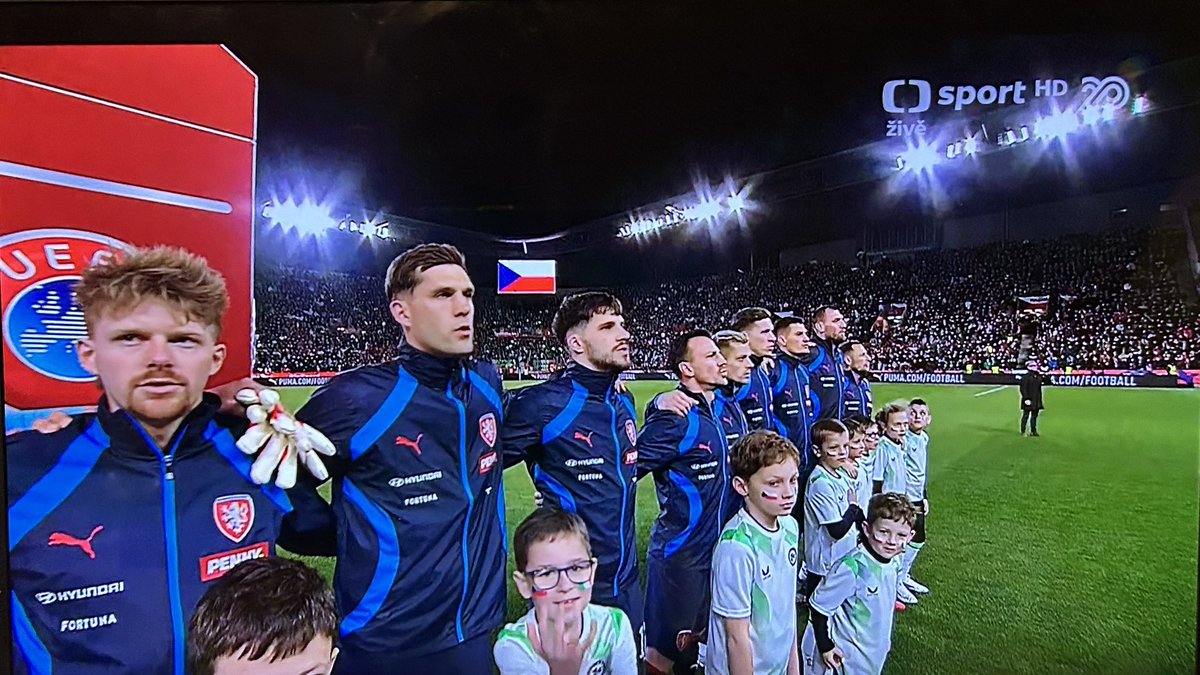 Chris Shepherd tweet media