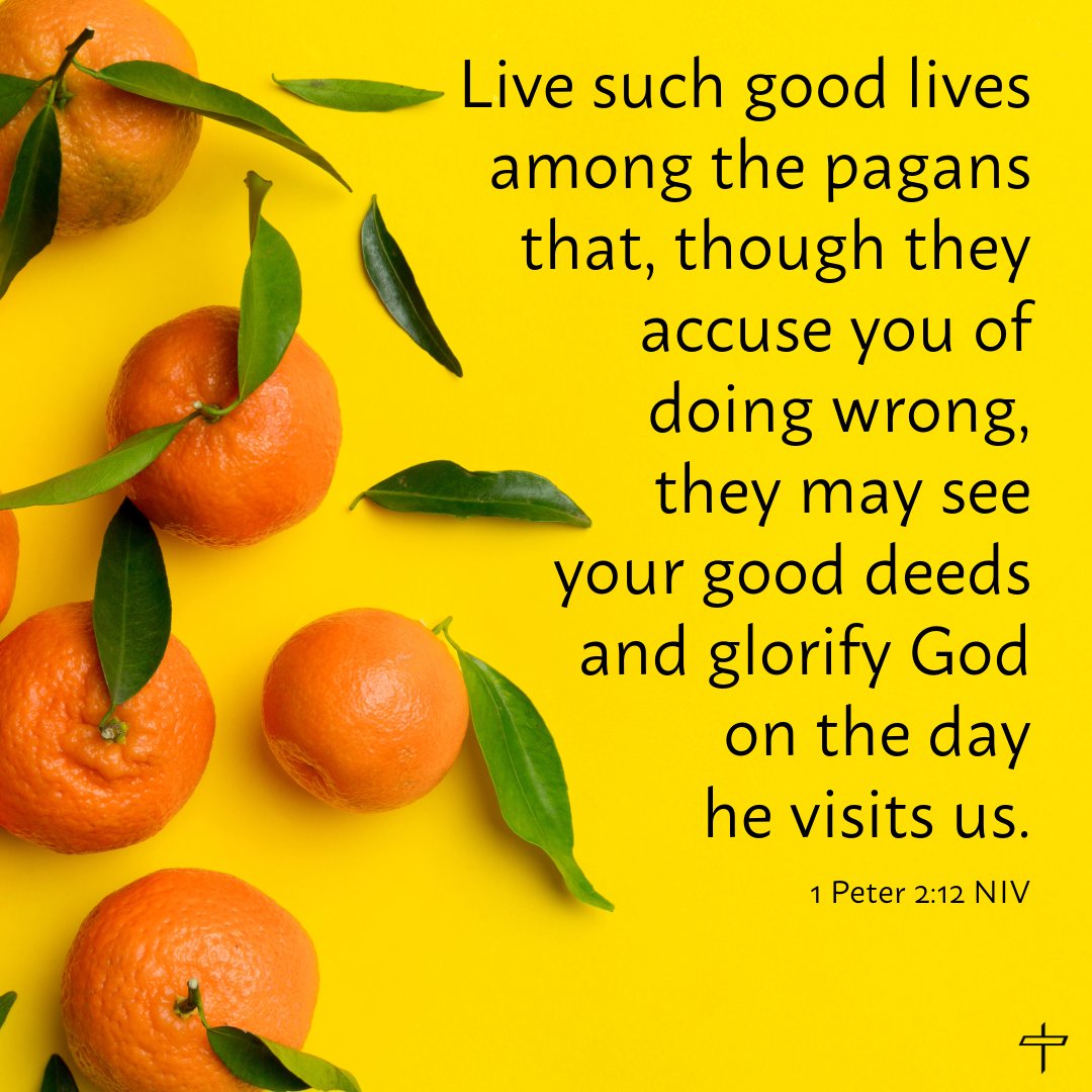 Daily Devotions tweet media