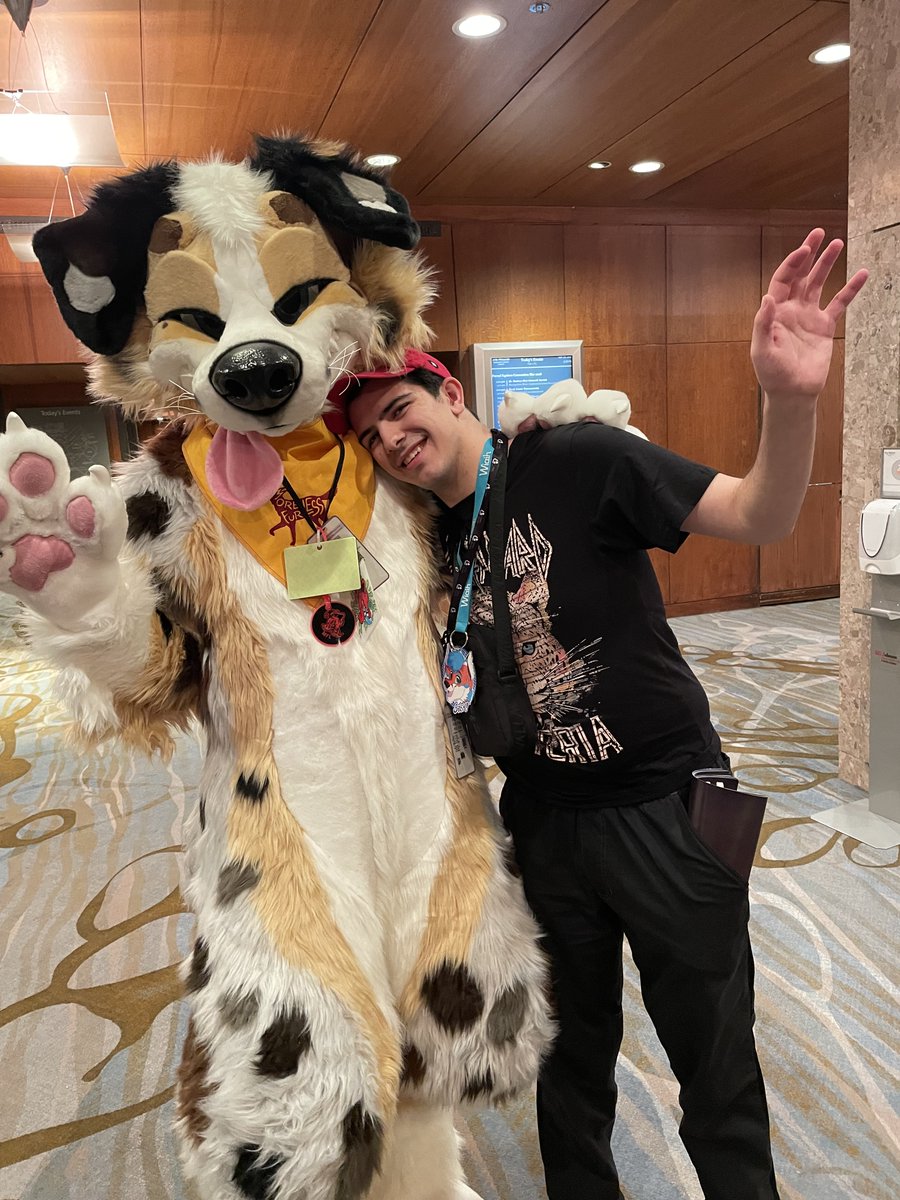 BriskFox 🔜 CanFur ? tweet media