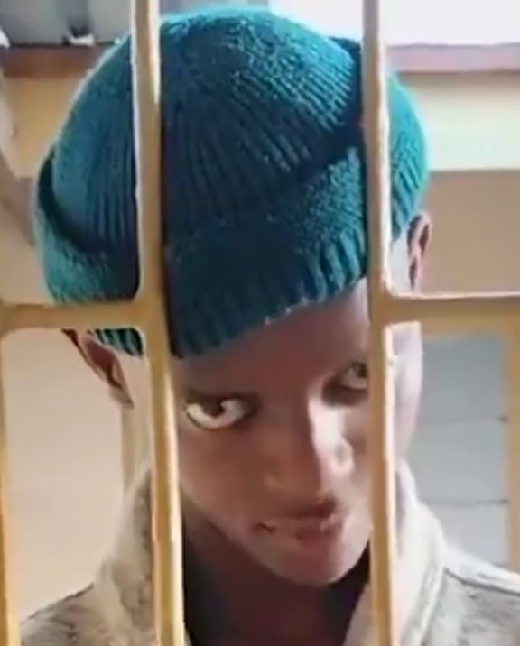 Smoke Detector tweet media