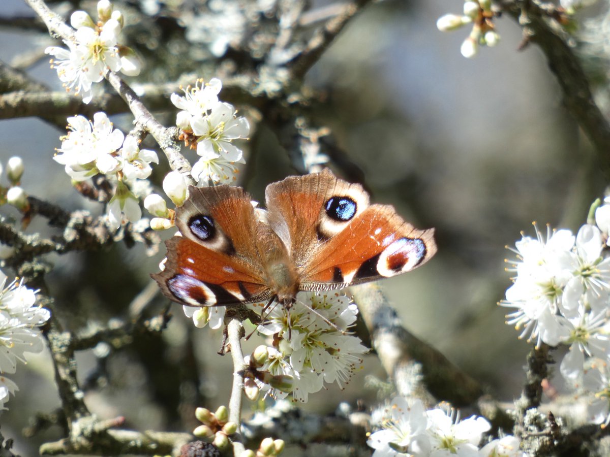 Andy Goodey tweet media