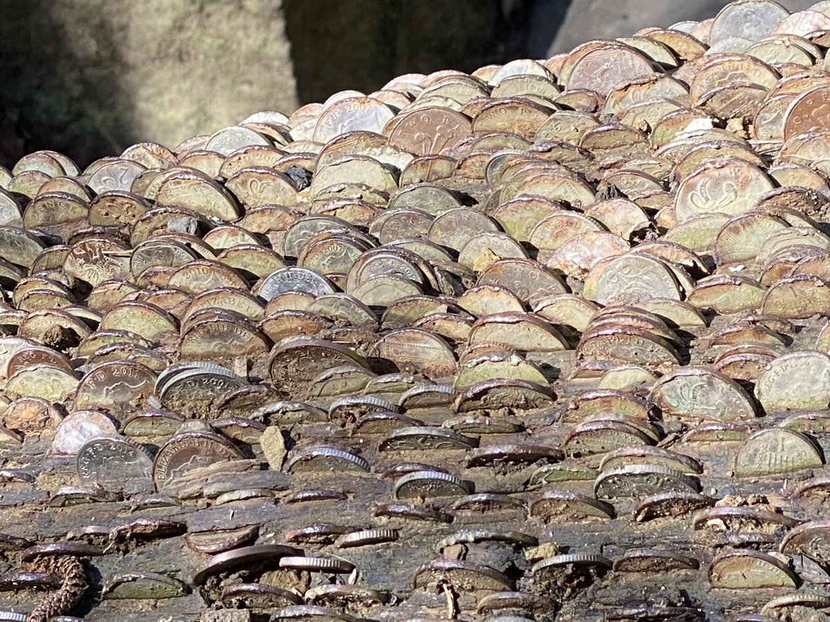 Andy Goodey tweet media