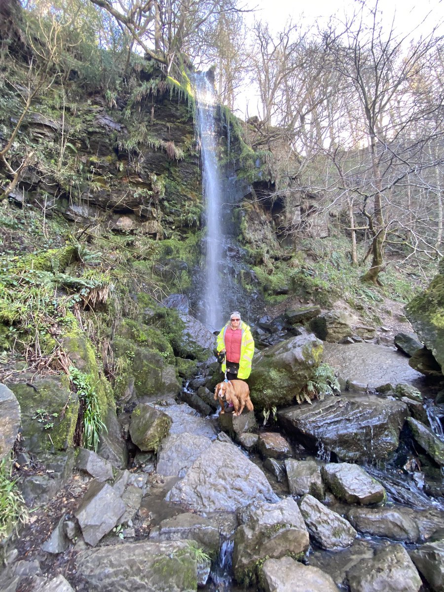 Andy Goodey tweet media