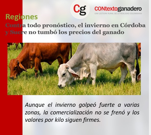 PL OCAÑA-PASION GANADERA tweet media