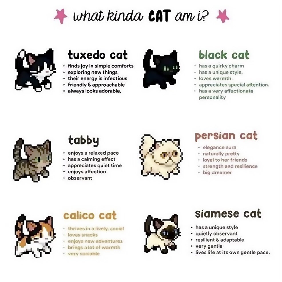 Suki de Stiglitz tweet media