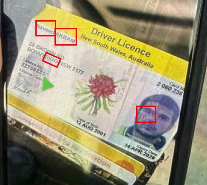 DaysOfNoahh tweet media