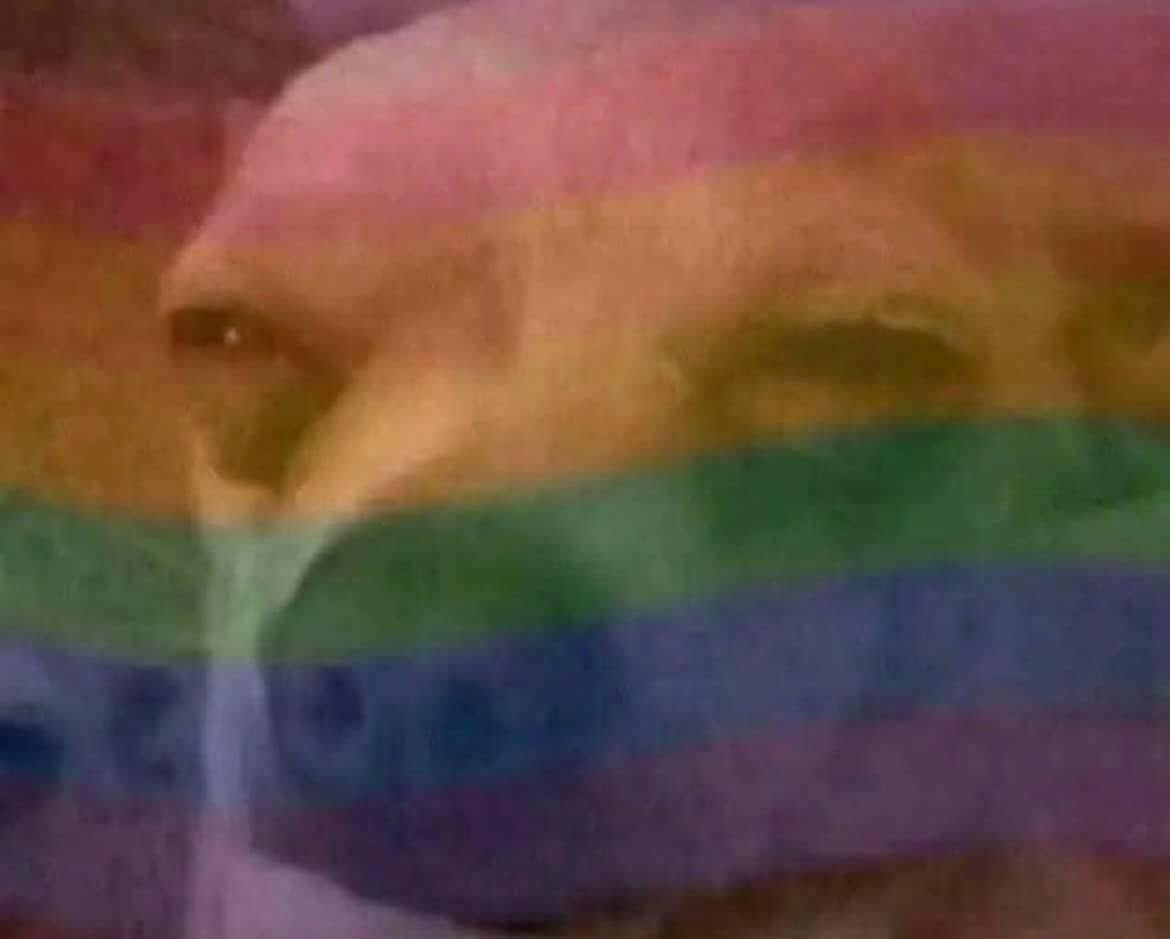 Hun❤️‍🔥 tweet media