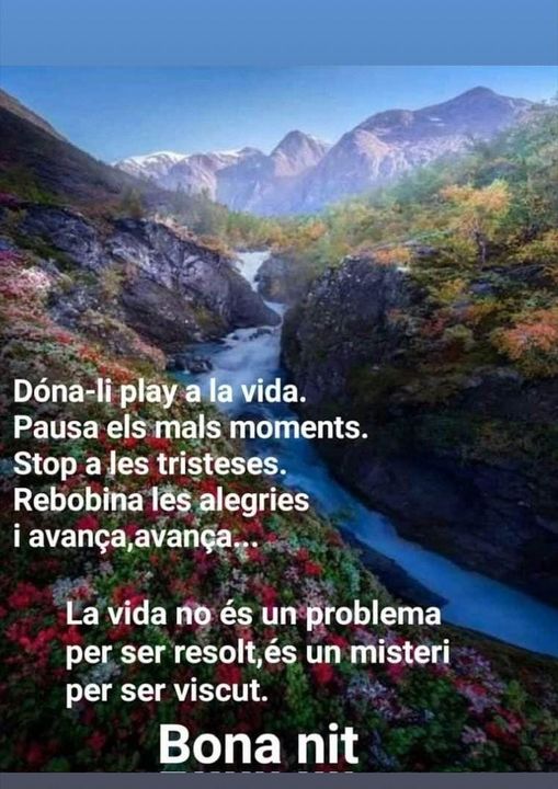 nascudaalasegarra tweet media