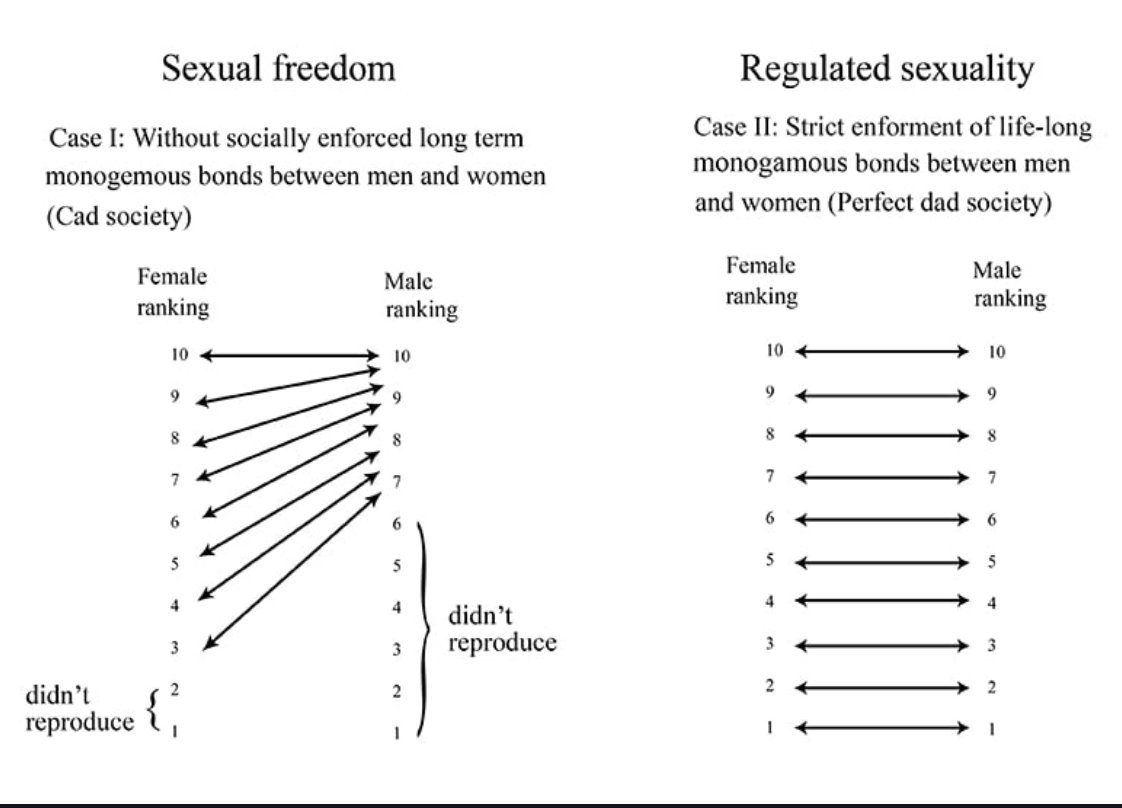 Rollo Tomassi tweet media