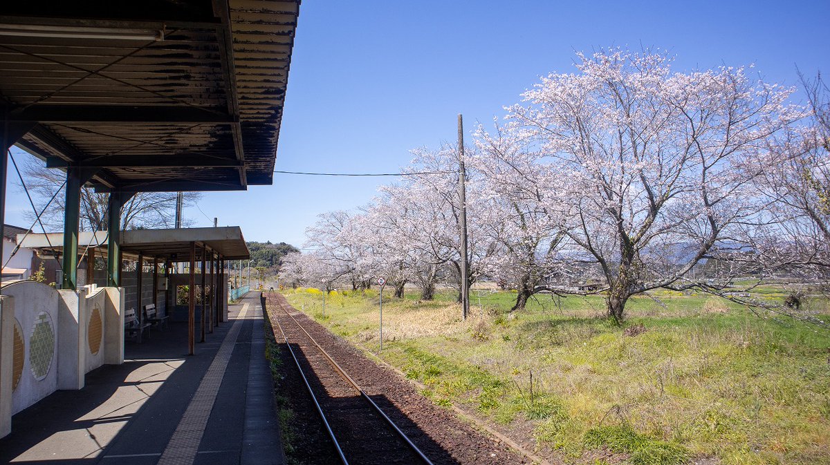 人吉球磨チャンネル tweet media