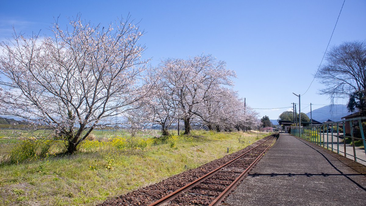 人吉球磨チャンネル tweet media