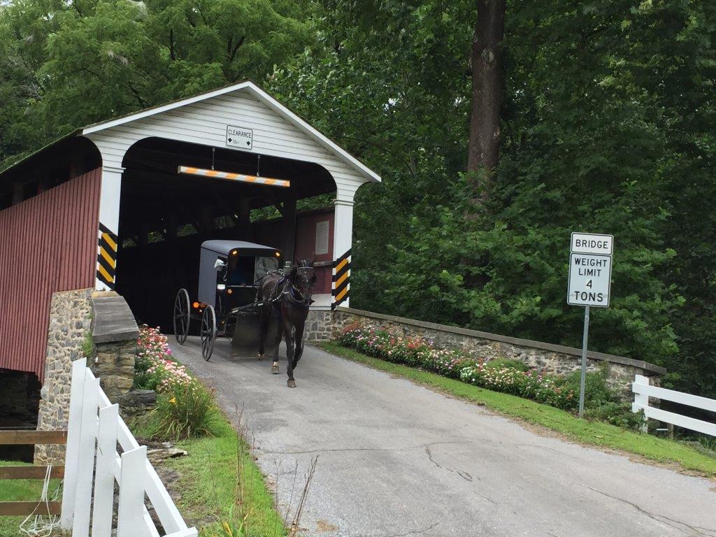 Commissioner Josh Parsons tweet media