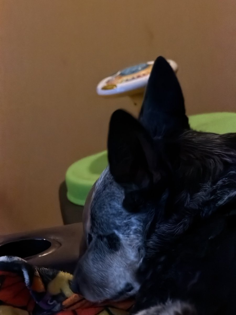 TJ is that you? tweet media