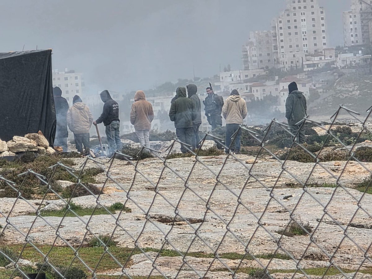 Matan Golan tweet media