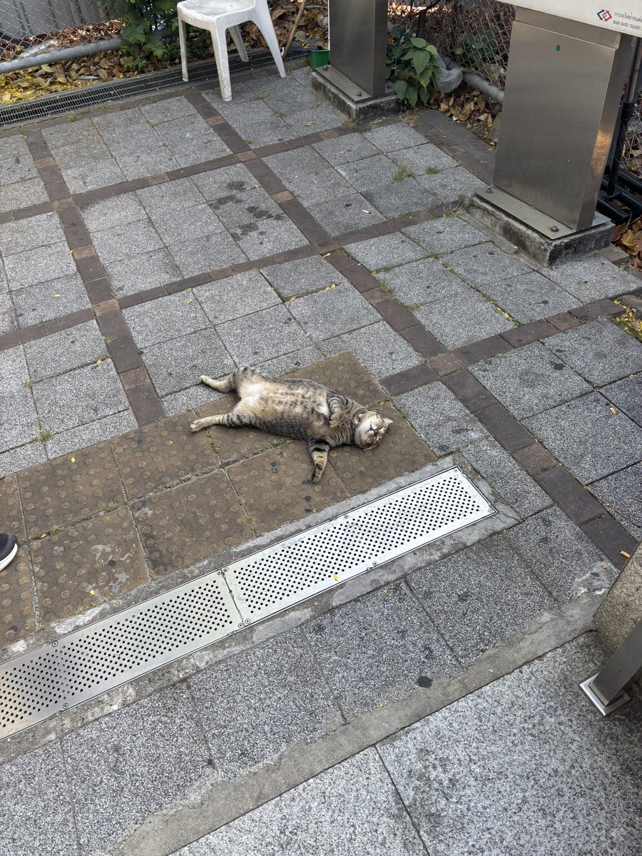 Howl’s Sophie💫 tweet media