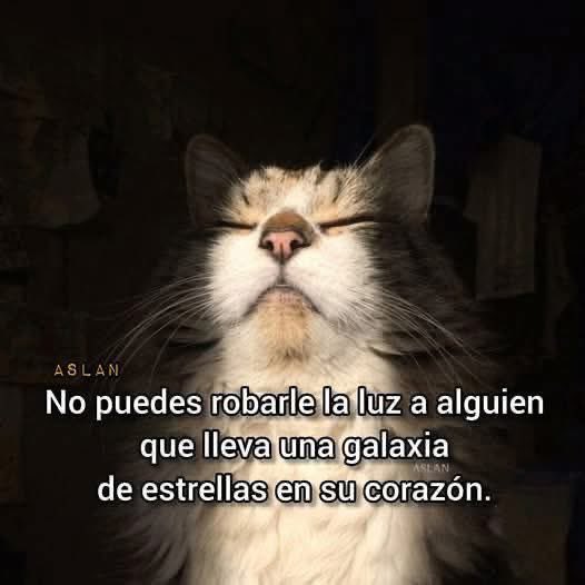 Alejandra Tamayo tweet media