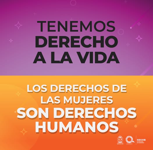 SEGOBQROO tweet media