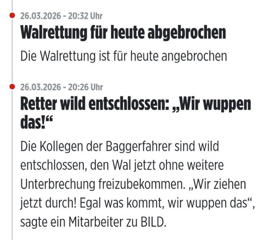 Klinterklater 🏳️🌈 tweet media