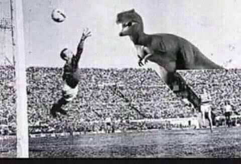 Perro Pio tweet media