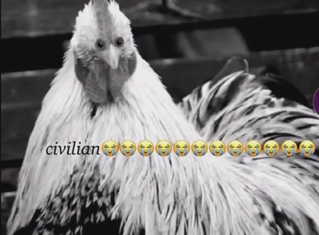 🍒 nev 🐍 tweet media