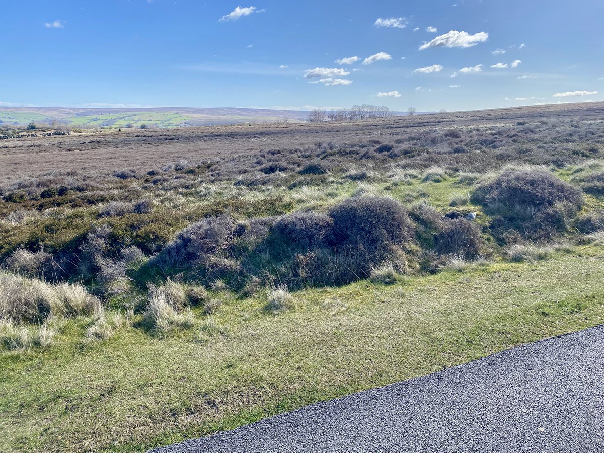 Andy Goodey tweet media