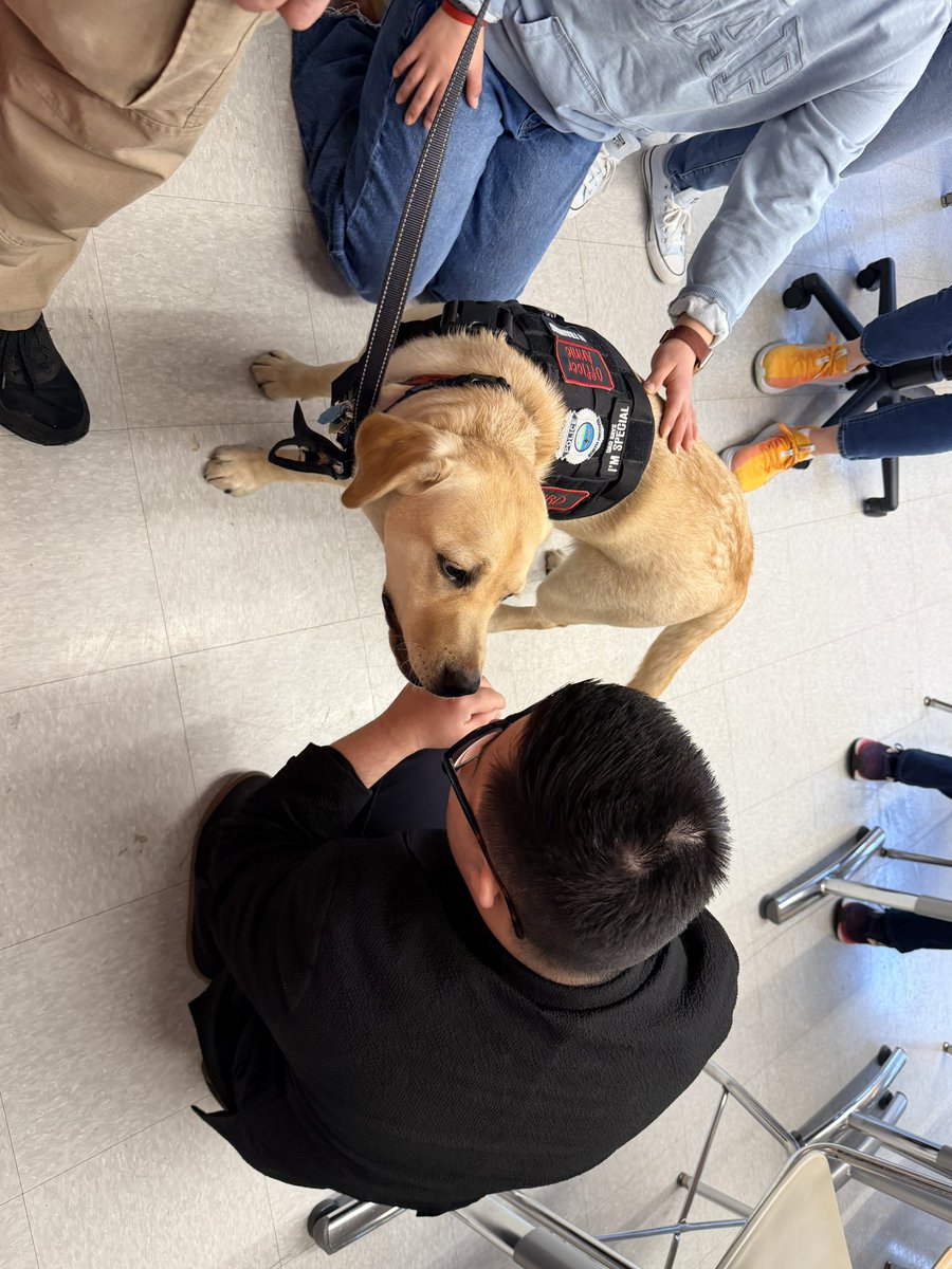 Kate DeLisle tweet media