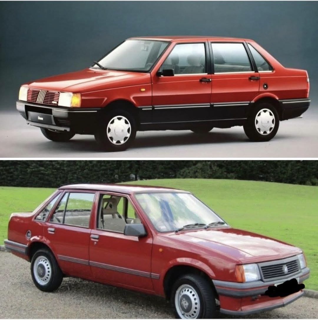 L’Oasi di Salvo tweet media