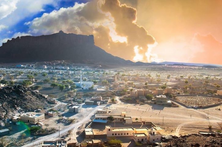 صلفة tweet media