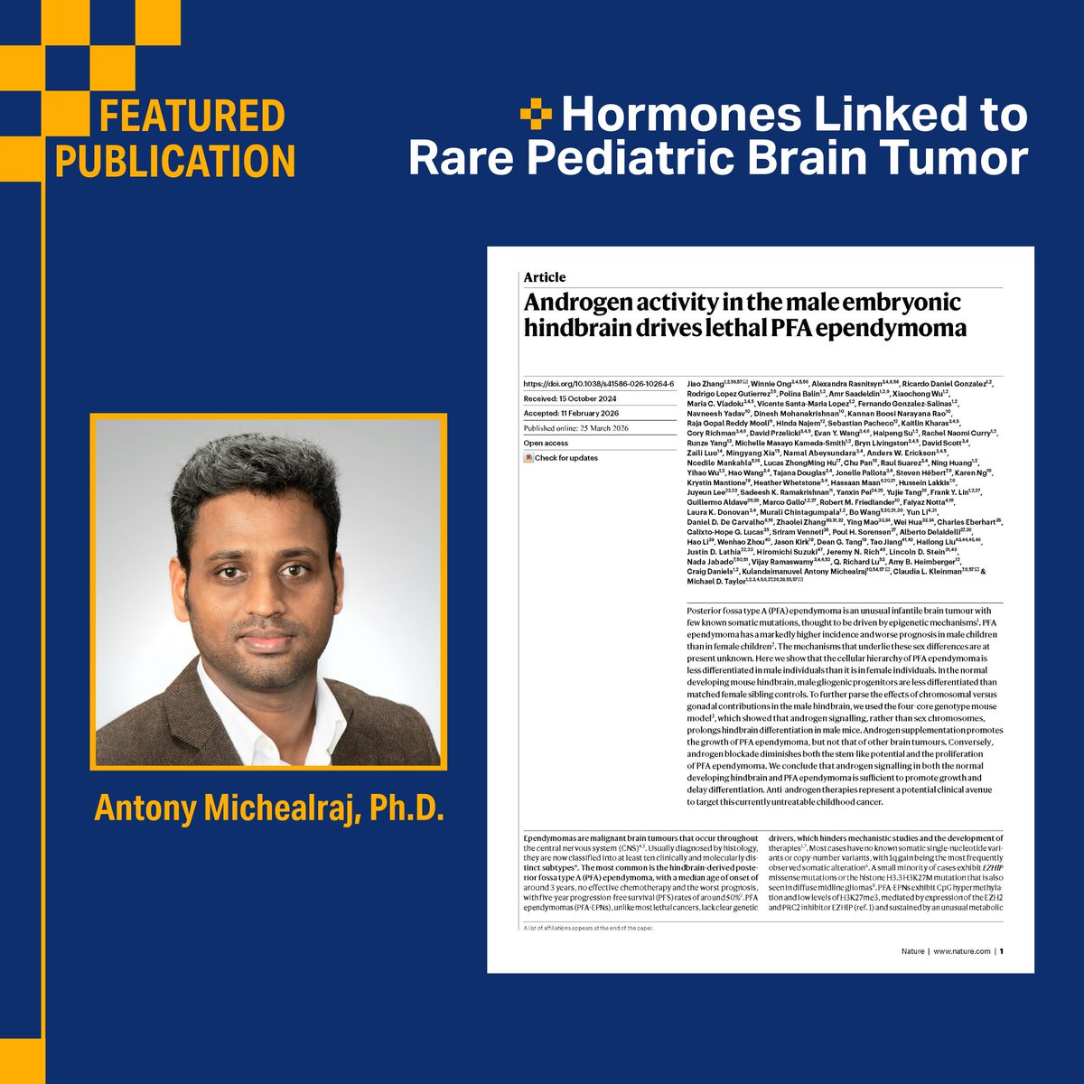 PittNeurosurg's tweet photo. A new study published in Nature, co-led by Antony Michealraj, PhD, has identified androgen signaling as a key driver of posterior fossa type A (PFA) ependymoma — an aggressive brain tumor affecting infants and young children that lacks the genetic mutations typically seen in cancer.

The research explains the tumor's higher incidence and severity in boys and demonstrates that blocking androgen signaling in preclinical models reduced tumor growth, offering a foundation for future therapeutic investigation. This work will continue at @ChildrensPgh.

Read more: https://t.co/5o8I5RCMua