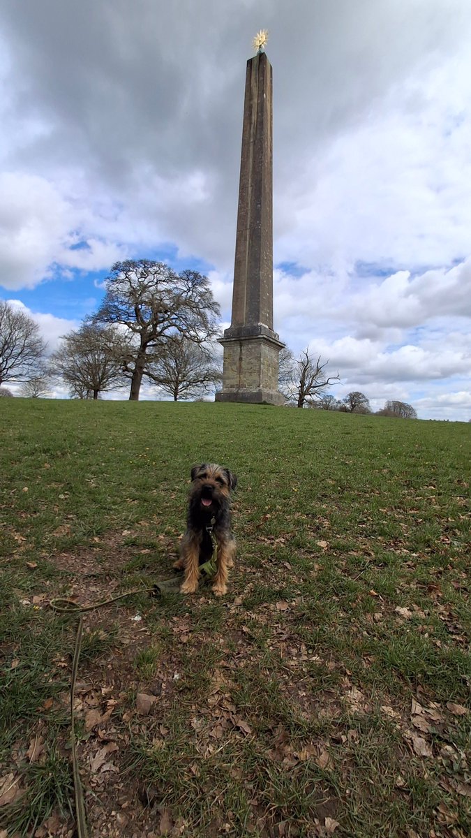 Molly Pickle CBE tweet media