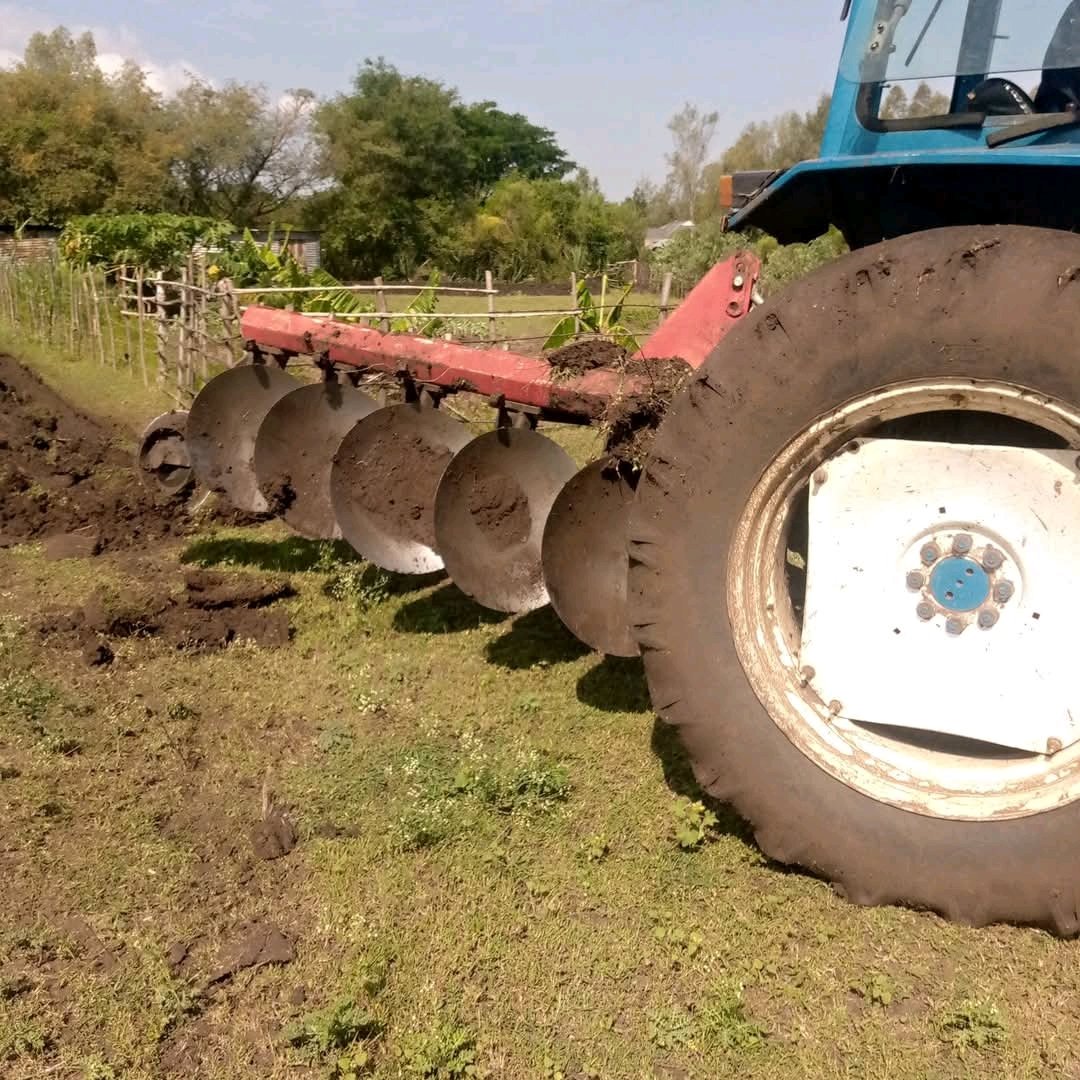 Ignatius tweet media