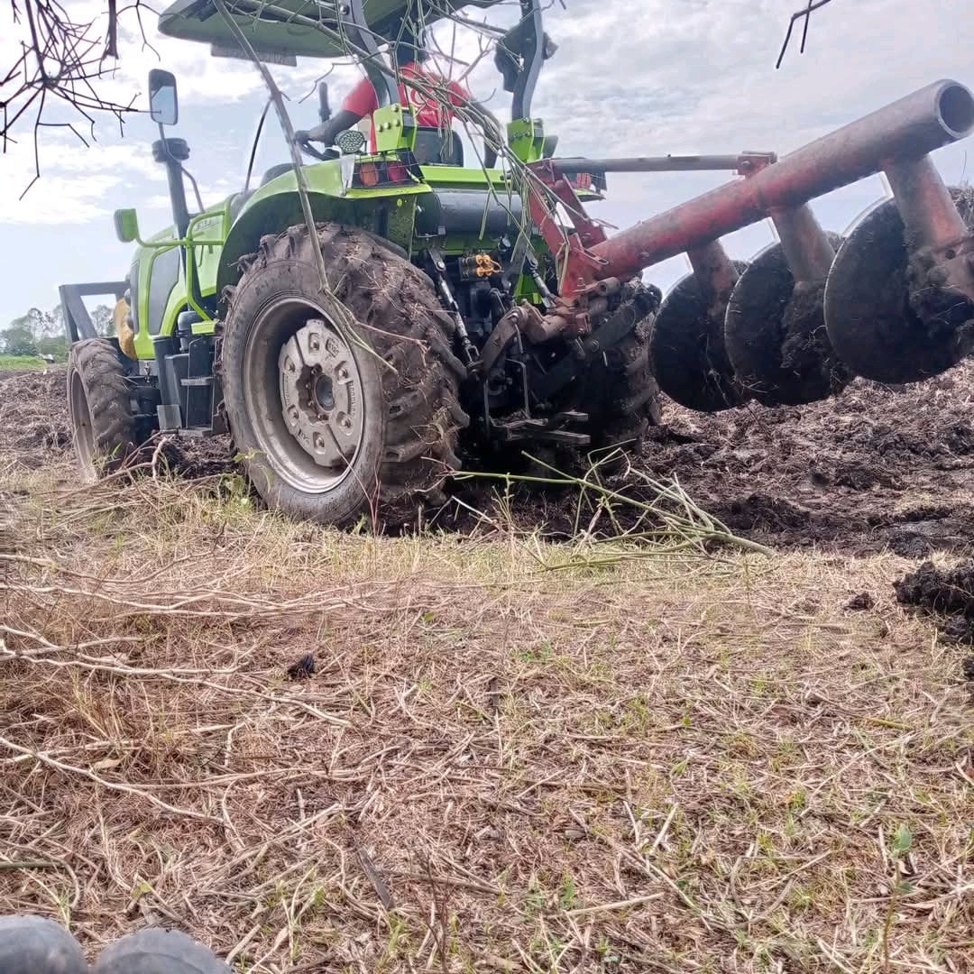 Ignatius tweet media