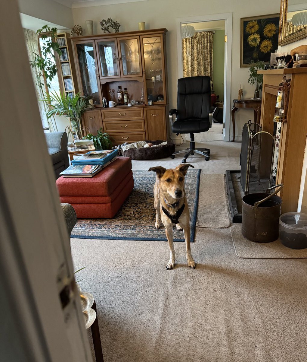 Help2Rehome Scotland tweet media