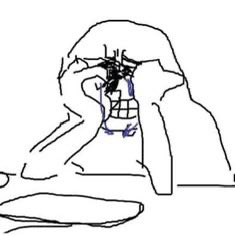 sam โsnarkksโ swagmaster tweet media