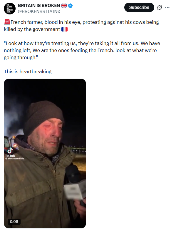 DaysOfNoahh tweet media