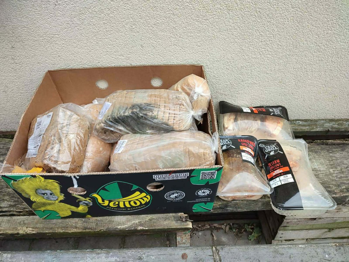 Robwalka Wolf tweet media