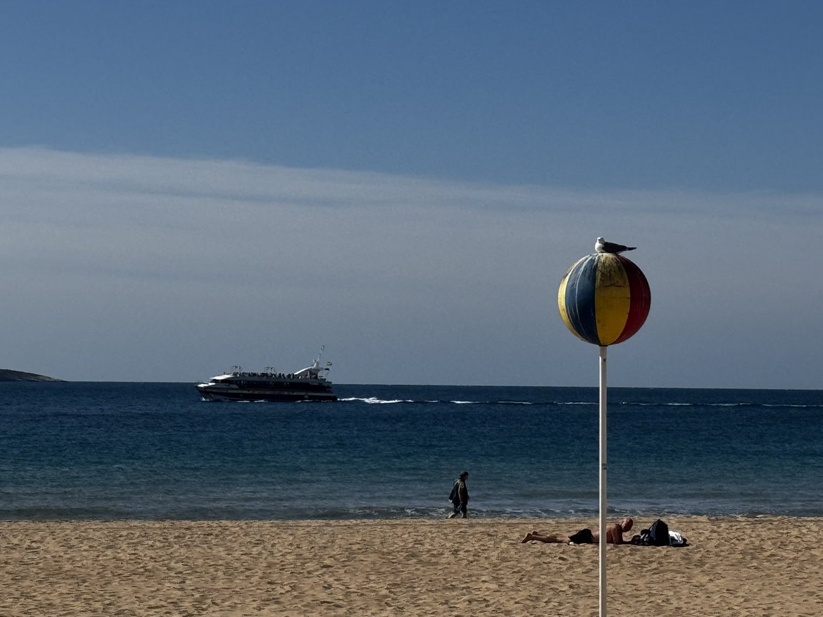 spot cas tweet media