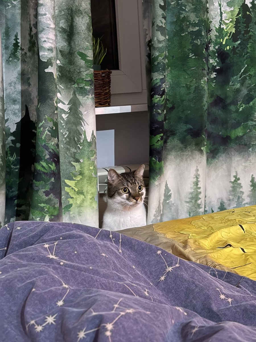 youwei 😔🤙 tweet media