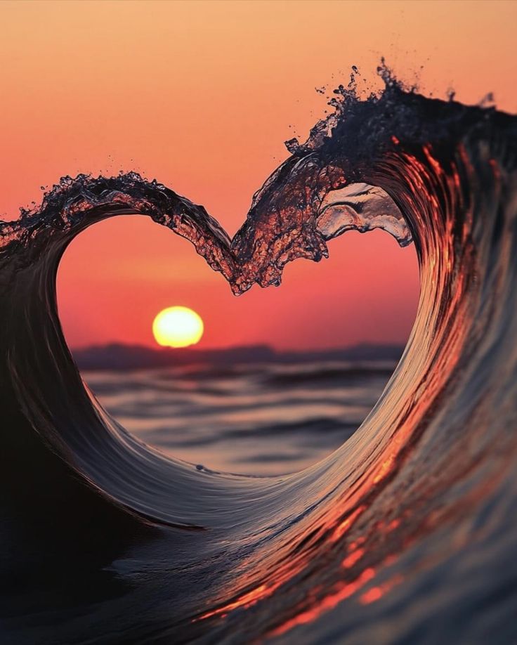 Donato Coletti tweet media