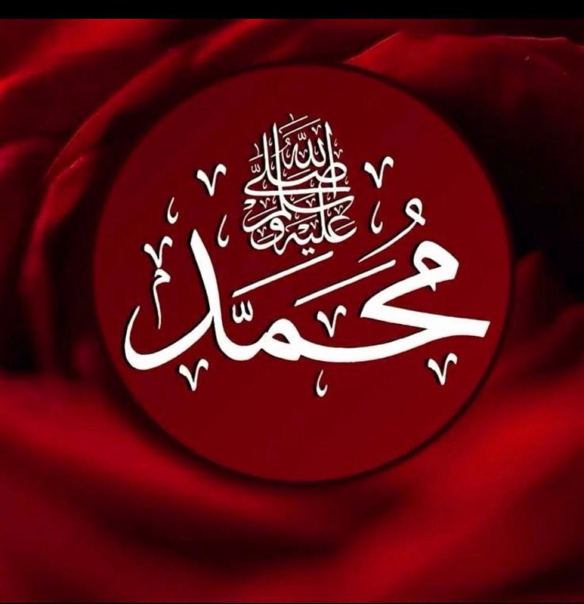 🌻جنة 👑الريحان 🤎🇵🇸 🇩🇿حسبنا الله ونعم الوكيل tweet media