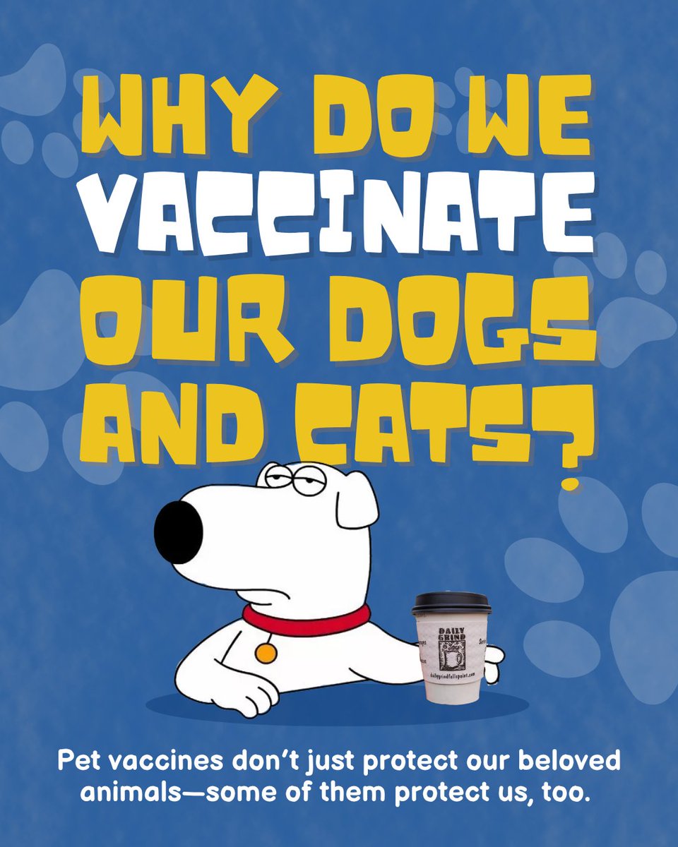 Johns Hopkins Bloomberg School of Public Health tweet media