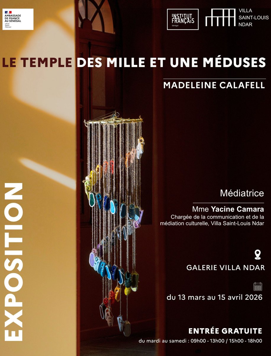 Institut français du Sénégal à Saint-Louis tweet media