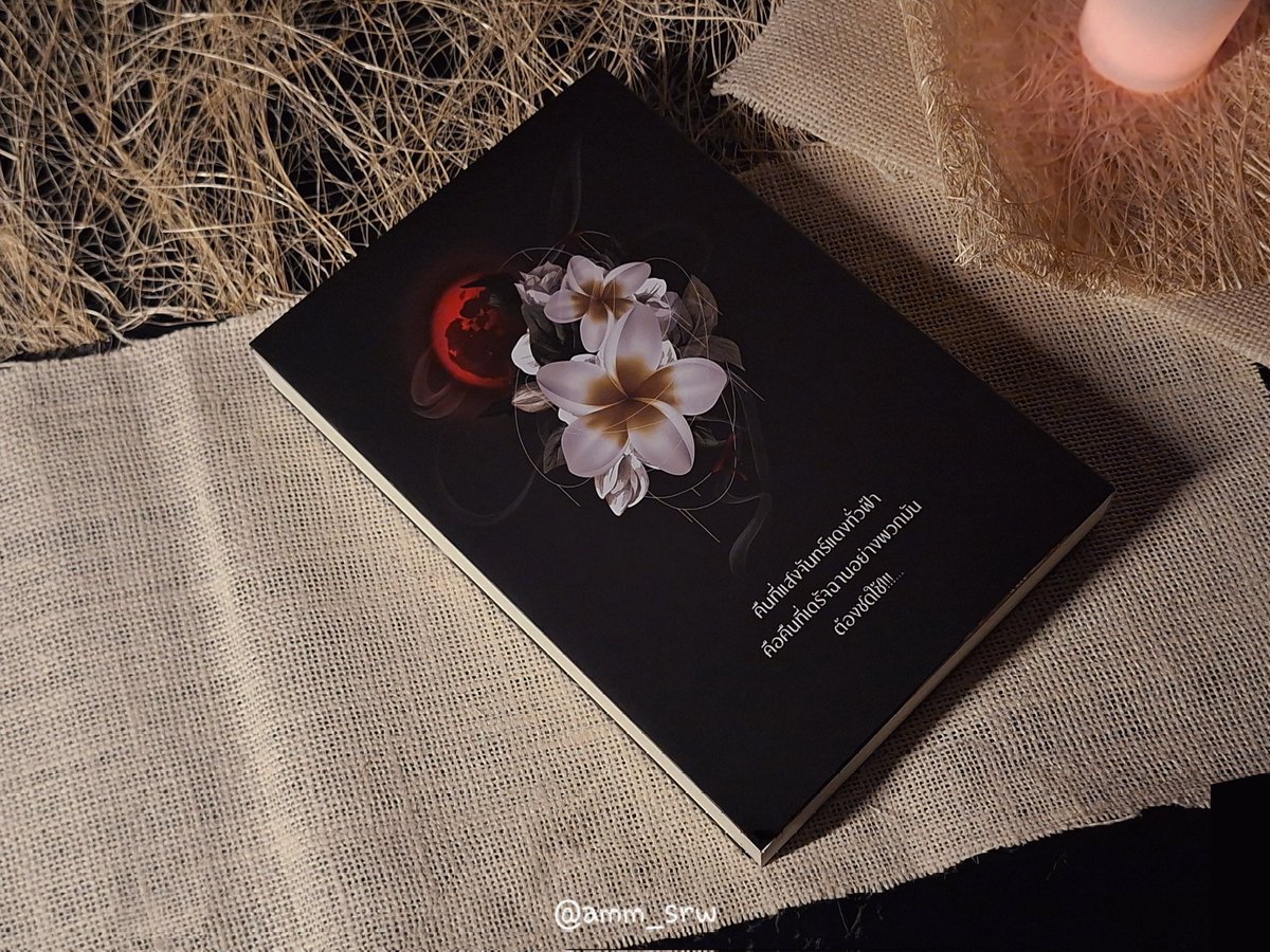 ✎.แอมเอ๋ยॱଳ͘ tweet media