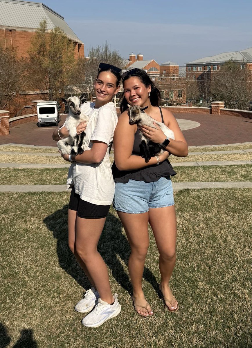 Payton Caroline tweet media