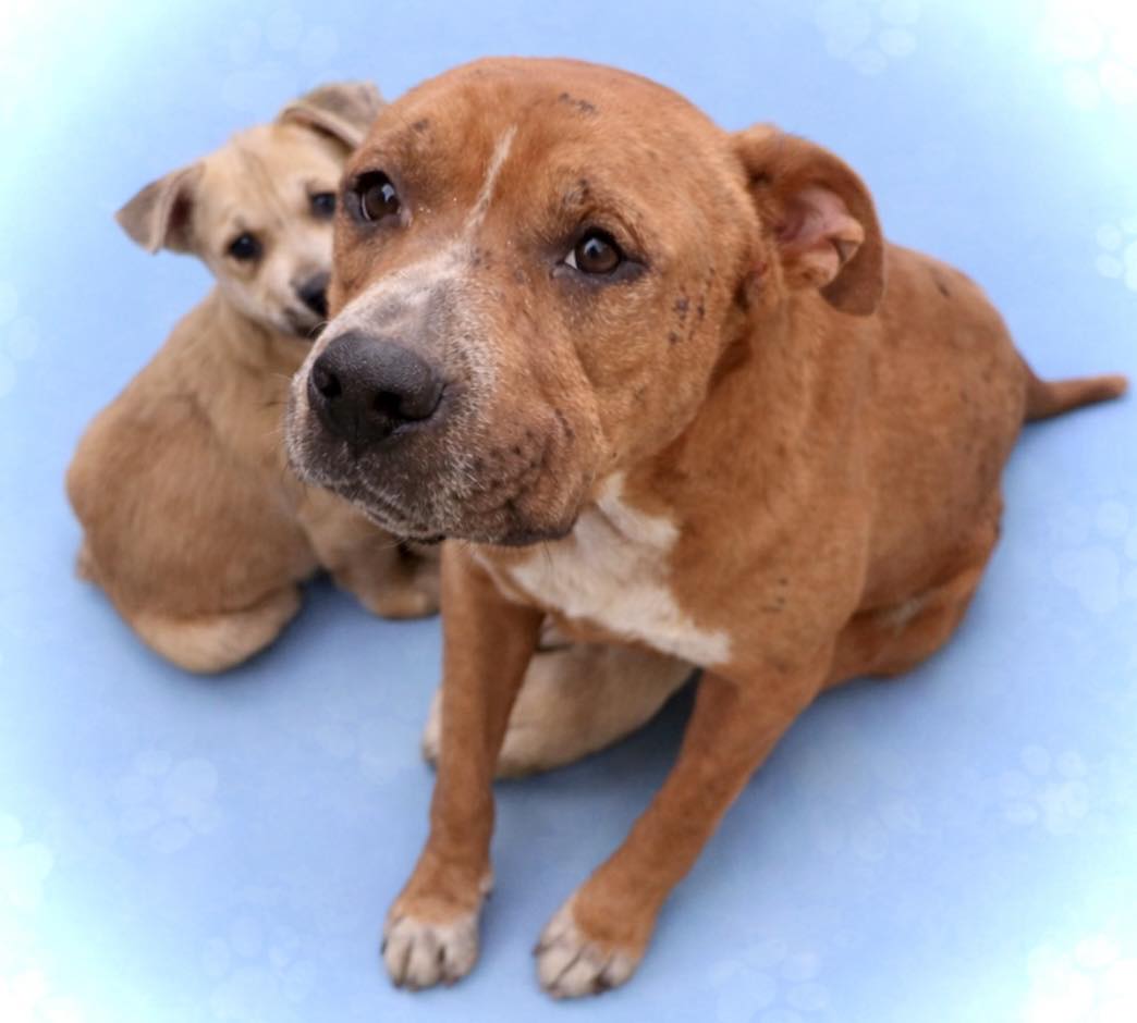 ¡¡¡¡Vai ¡¡¡¡¡ tweet media