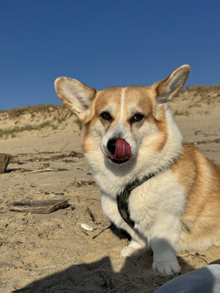 Moustache tweet media