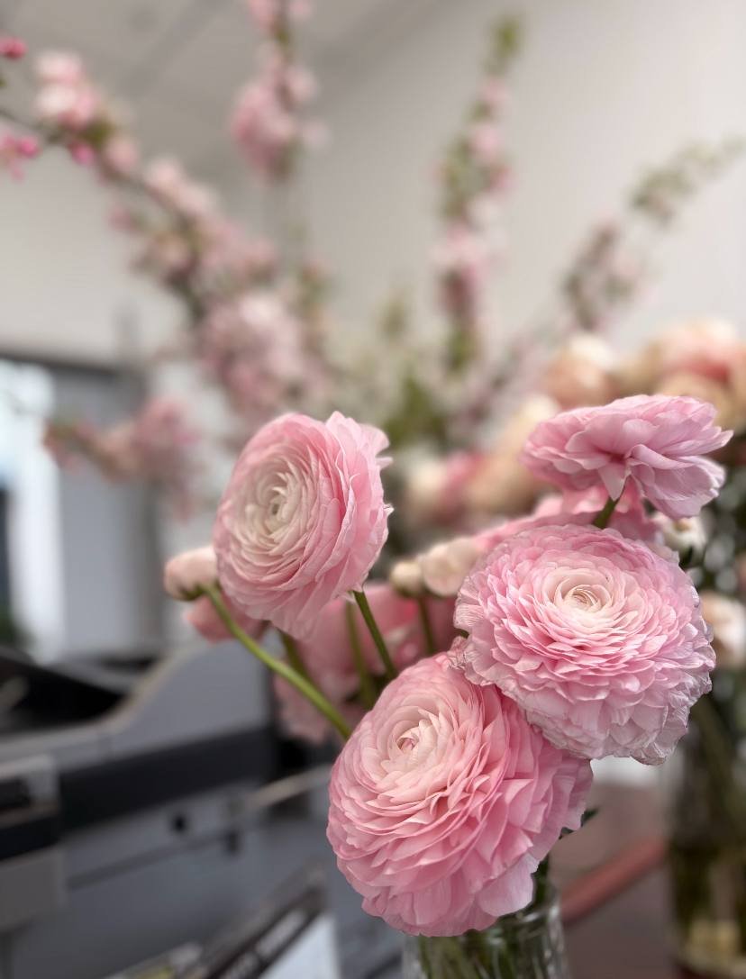 柳絮老师 tweet media