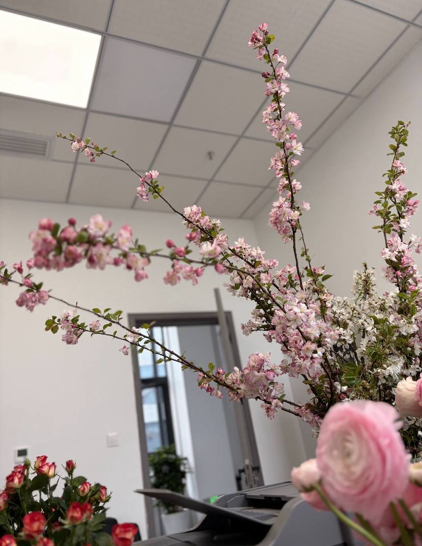 柳絮老师 tweet media