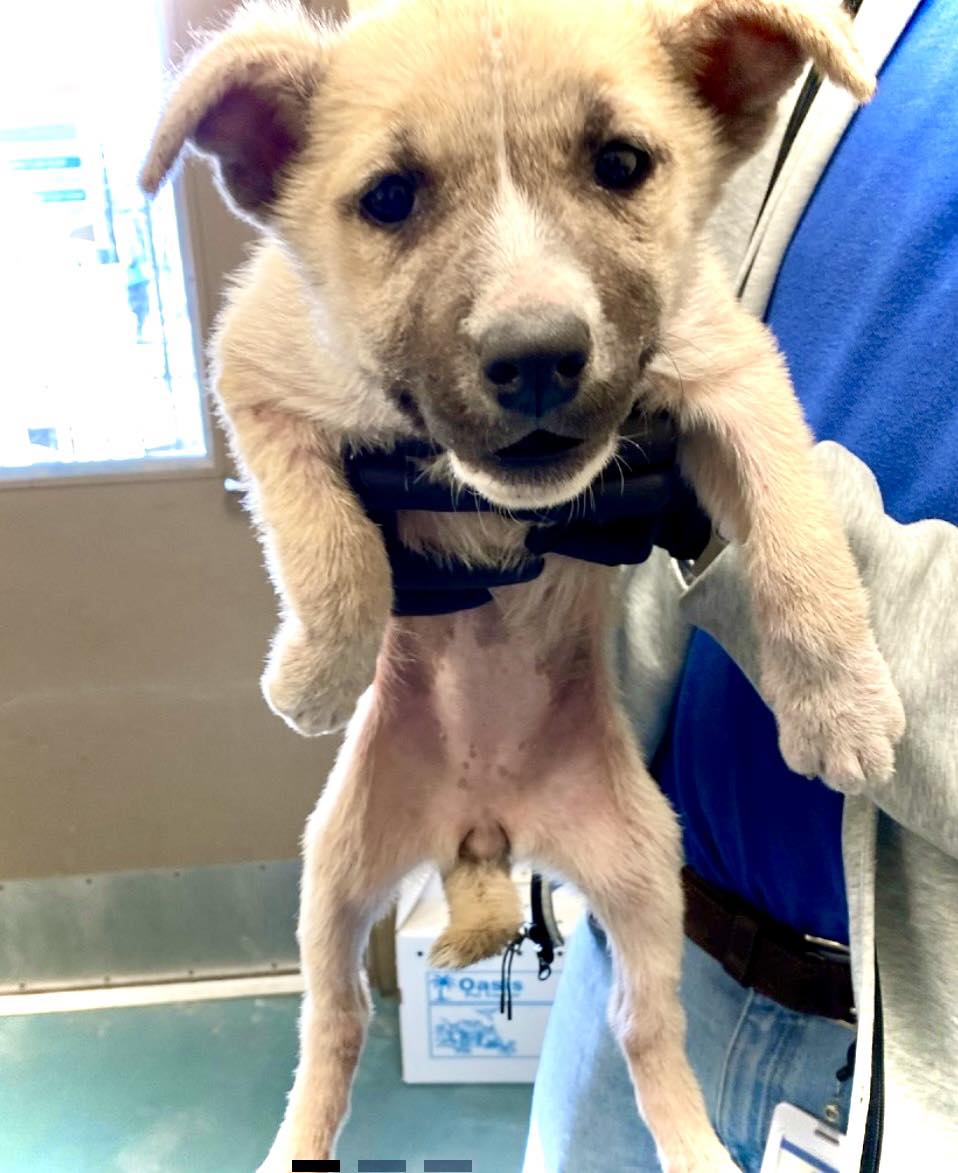 ¡¡¡¡Vai ¡¡¡¡¡ tweet media