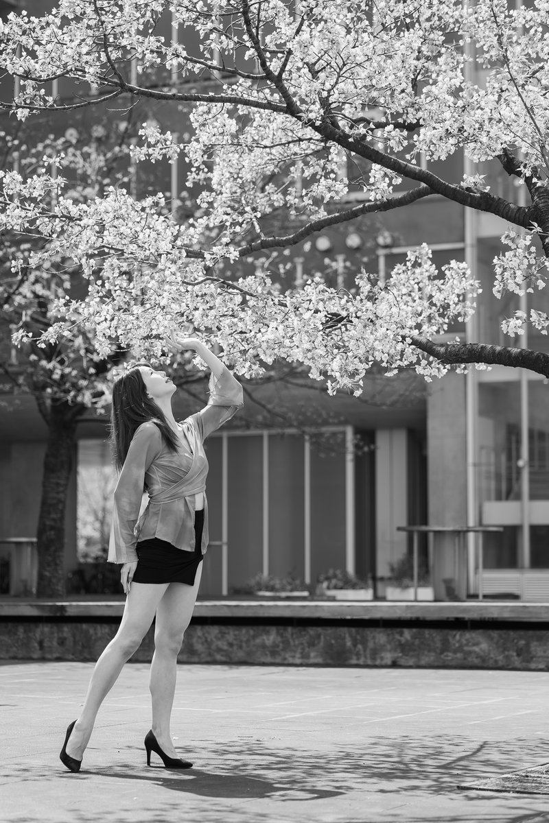 五拾円。 tweet media